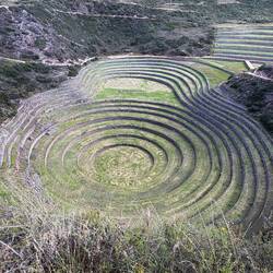 Moray agricultural terraces were used as a farming research station