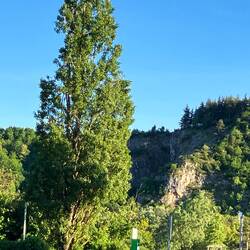 Blick vom Platz