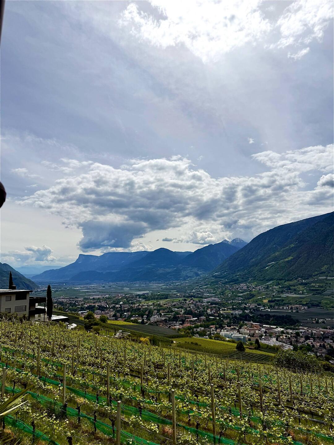Blick auf Meran
