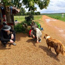 A wonderful rest stop
