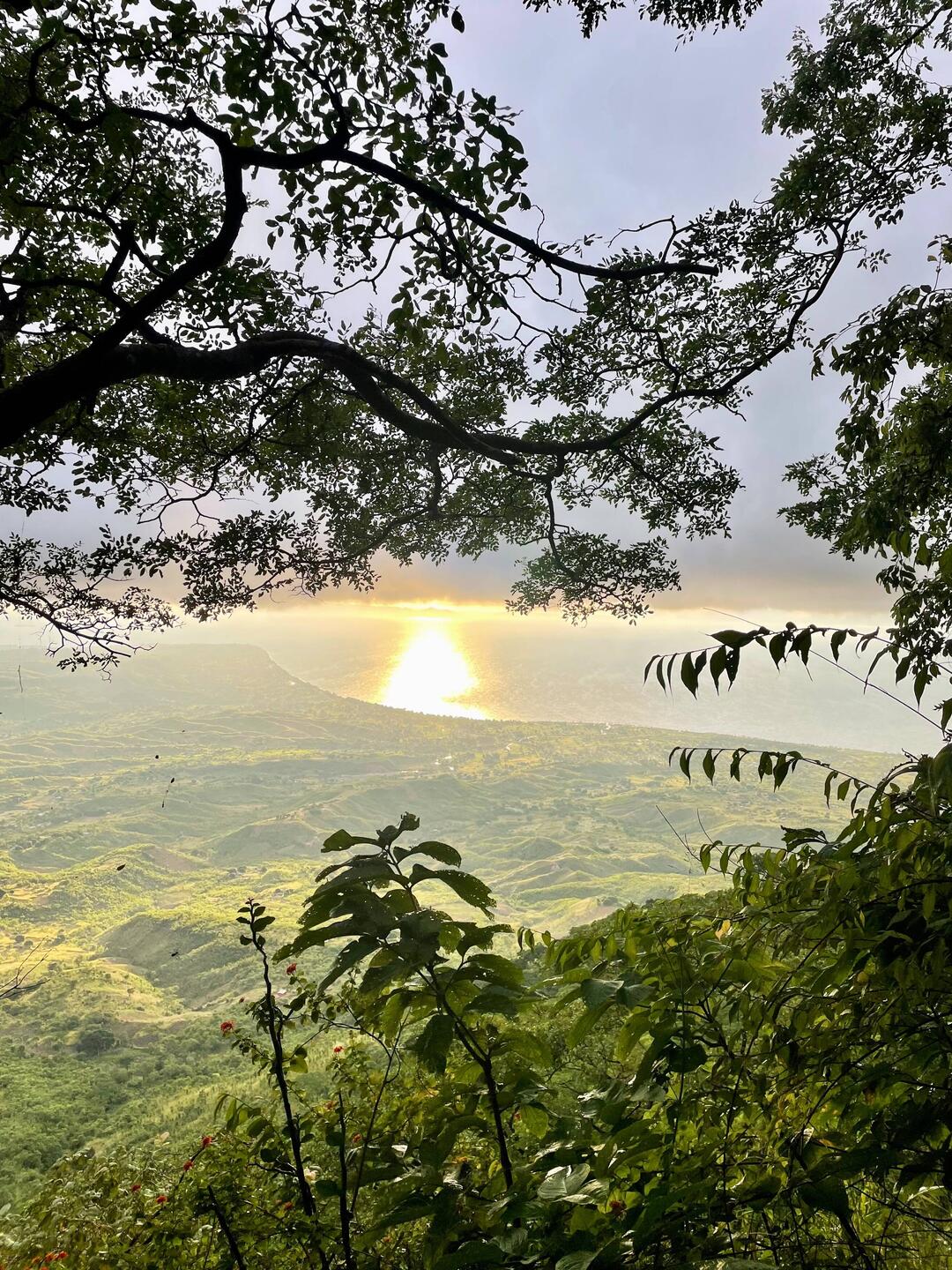 Sunrise under the clouds Mushroom Farm