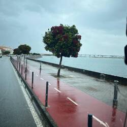 Ein schöner Radweg von Costa Nova nach Aveiro