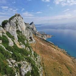345 metrov visoko nad morje štrli Gibraltarska skala.