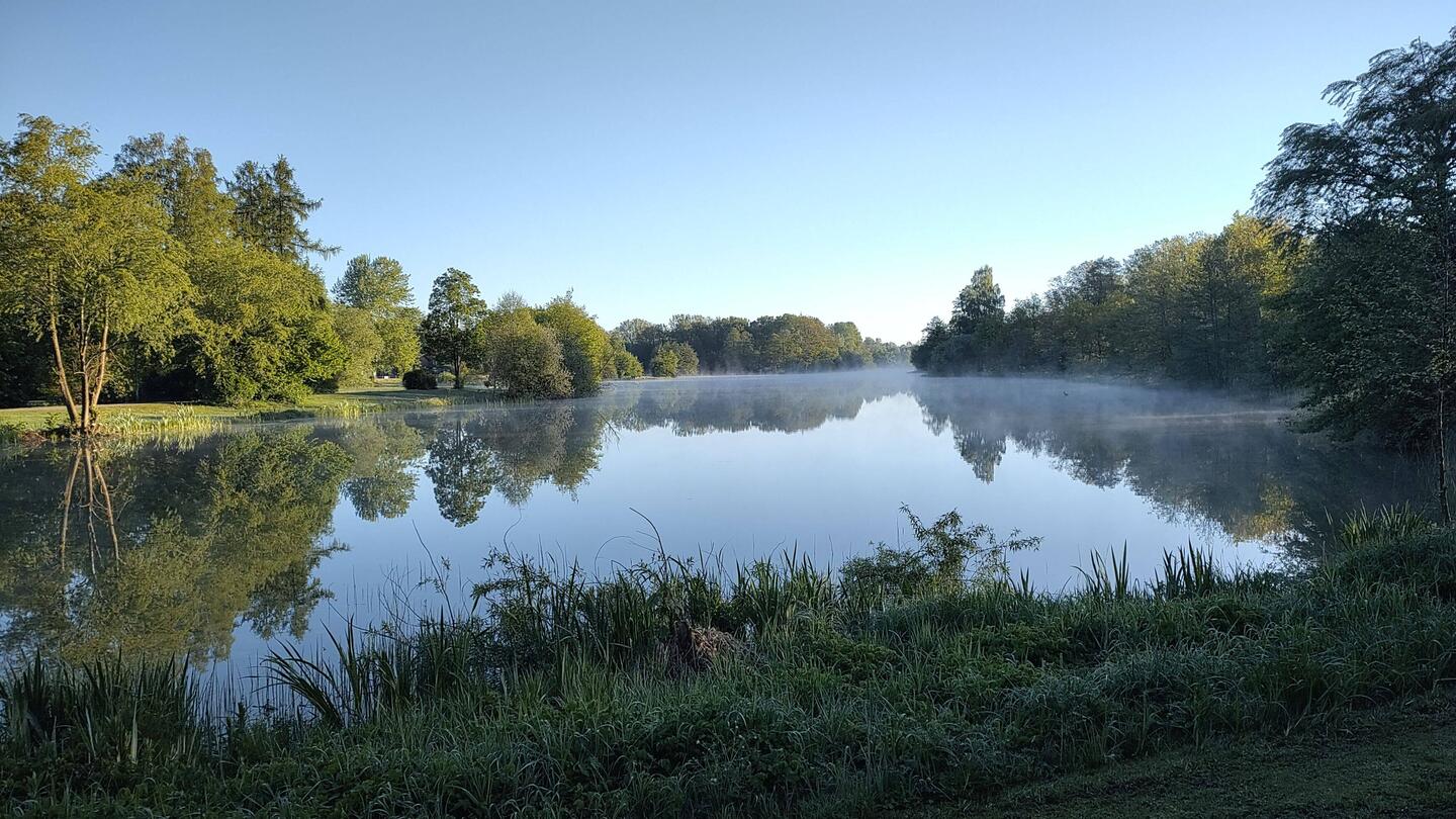 Morgens am See