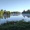 Morgens am See