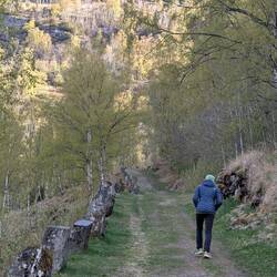 Auf zur morgendlichen Wanderung