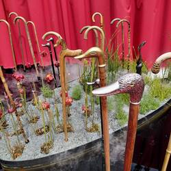 The canes and the ducks, in the Canne Garden Festival art installation