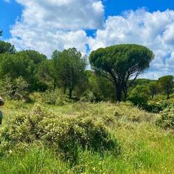 Natur pur
