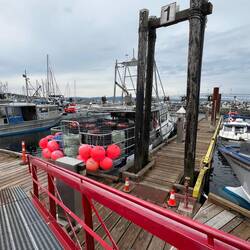 Fishing boat with Prawn traps across dock from me.