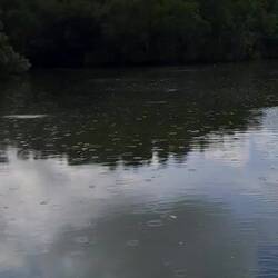 Auf dem Rückweg fing es noch an zu regnen