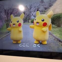 Es gibt ein Pikachu Lied