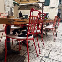 Tout le monde profite des terrasses