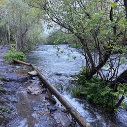 Trail almost flooded