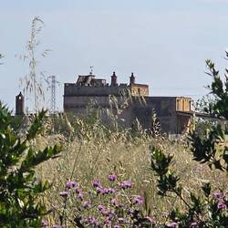 Masseria Alcaini