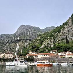 Kotor