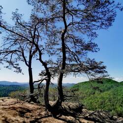 Amazing views today!
