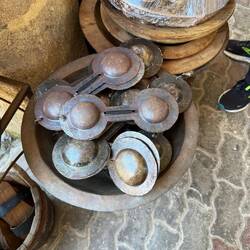 I have no idea what these things are, but they were all over the place.