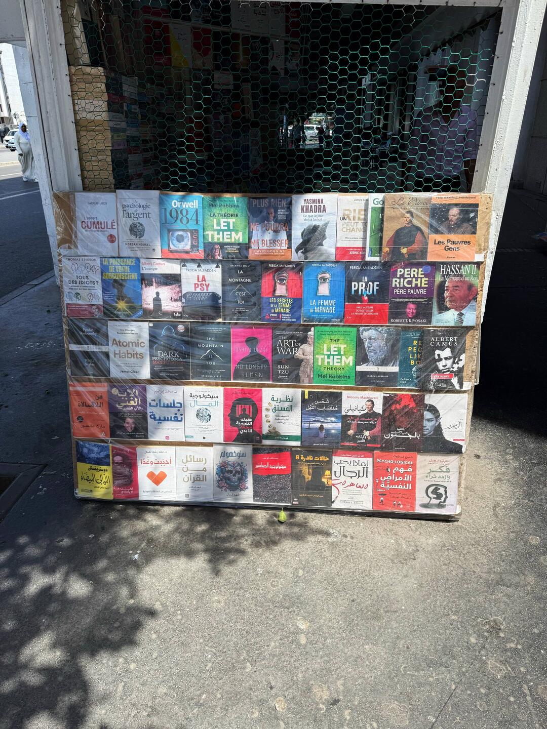 I thought this was an odd collection of books to find at a newspaper stand on the street
