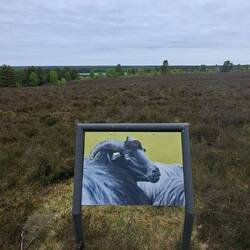 Kunst in der Heide