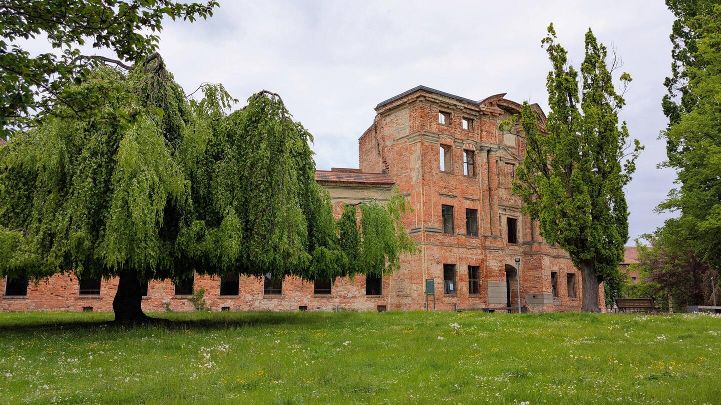 Schlossruine