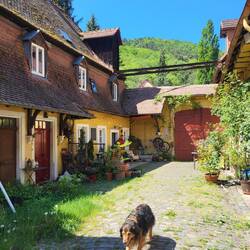 Im Hainbachtal