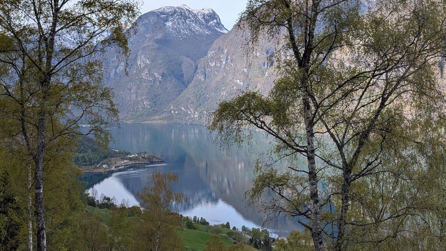 Immer wieder Fjord