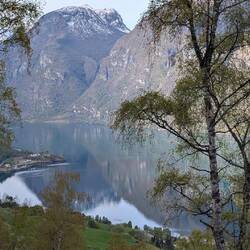Immer wieder Fjord
