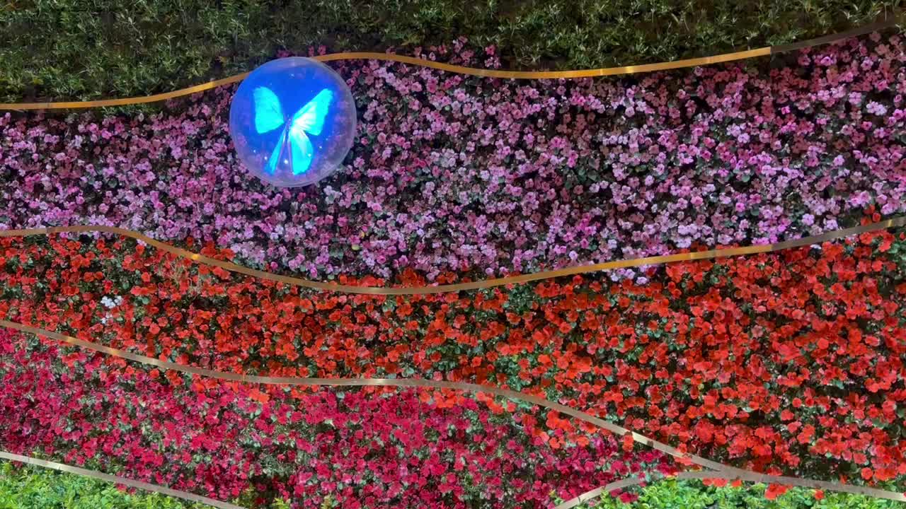 Wall of flowers at night, the Bund