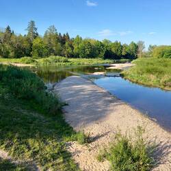 Brigach und Breg, bringen die Donau auf den Weg