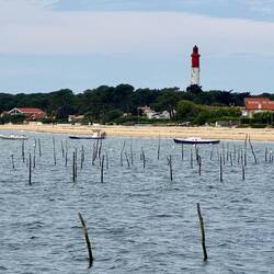 Cap Ferret