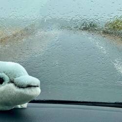 Kein Campingwetter