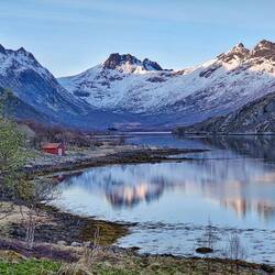 Elchloses Idyll im Olderfjord
