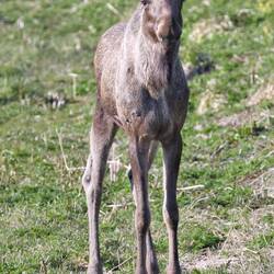 Da guckt der Kleine neugierig