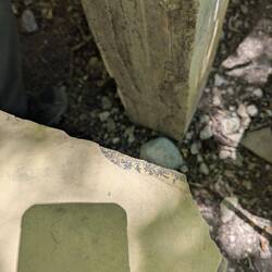 Found some fern fossil etchings