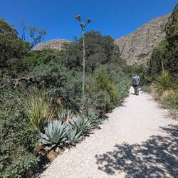 McKittrick trail