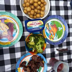 Our family camping plates