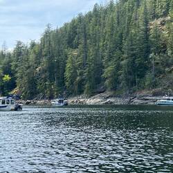 Anchored in a little hook cove in Theodosia Inlet