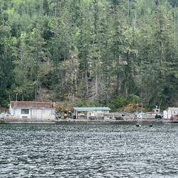 Fish farm at Bastion Point