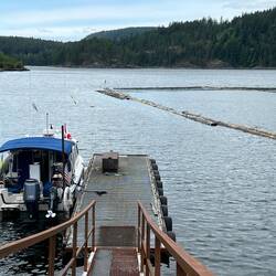 Empty log booms