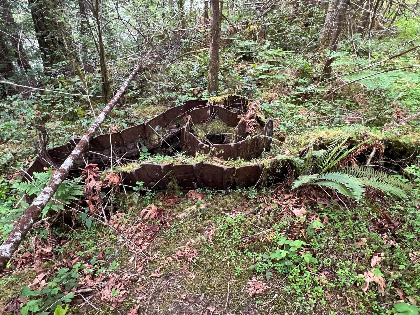 A track from the dozer.
