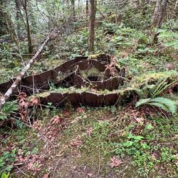 A track from the dozer.
