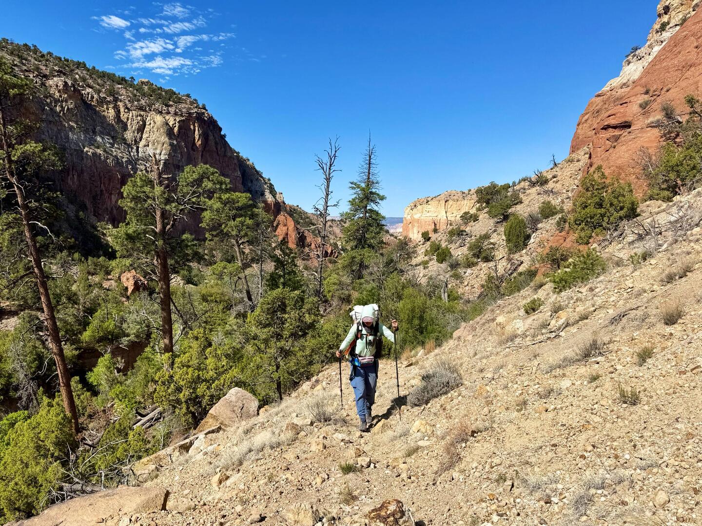 Der heutige Aufstieg nach der Ghost Ranch hatte es in sich. 🥵