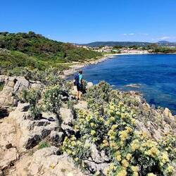 Cap Camarat...die Mimosen sind verblüht🏵