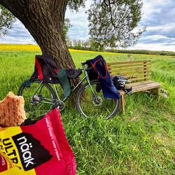 Stärkung an der Spuckweide