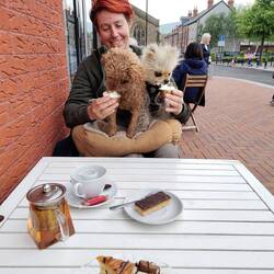 Florence and Amelia's Café. Cake for us and puppuccinos for the furries