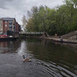 Turning right towards the Huddersfield Narrow Canal