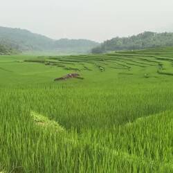 Pù Luông