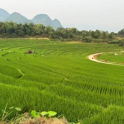 A new road, built to replace an old goat track linking Bản Đôn with Pù Luông's more remote regions.