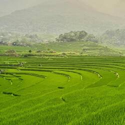 Pù Luông