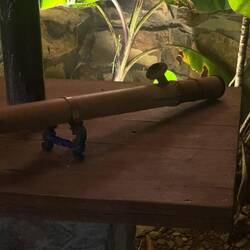 Bamboo water pipe - a điếu cày - used to smoke a strong, rustic tobacco. Smoked by men everywhere.
